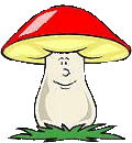 Gomba csoport