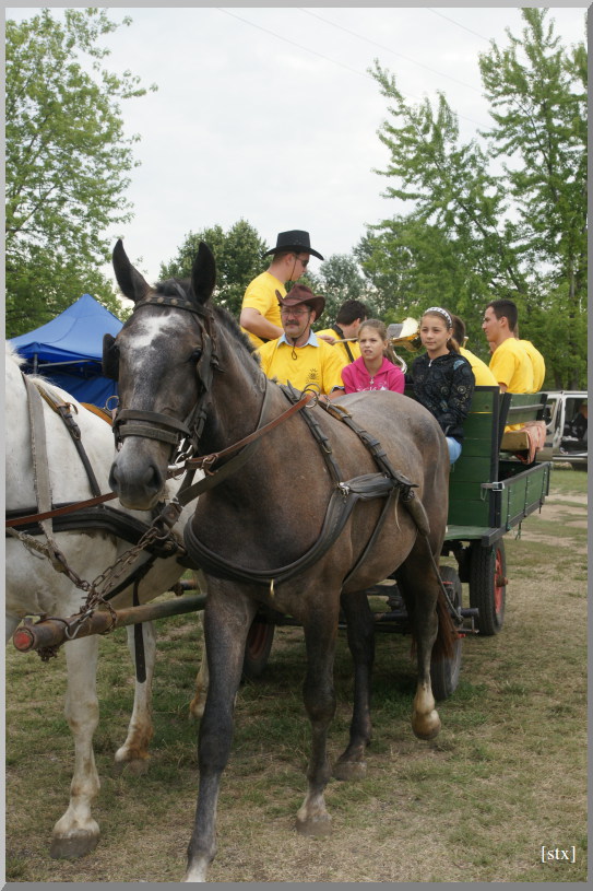 2012. augusztus 4.