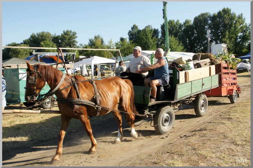 2013. augusztus 3. - 21. hernádi falunap