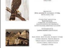 Thumbnail for the post titled: „Illékony pillanatok” – a Dabasi Fotóklub Egyesület kiállítása