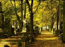 Thumbnail for the post titled: Hirdetmény a sírhelyekkel kapcsolatos teendőkről