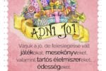 Thumbnail for the post titled: Adni 2019-ben is jó!