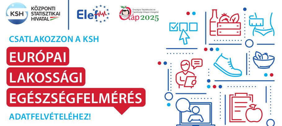 KSH felmérés